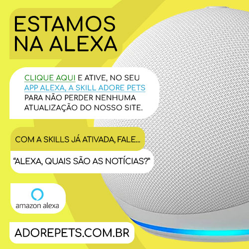 Adore Pets - Ame, cuide e brinque!