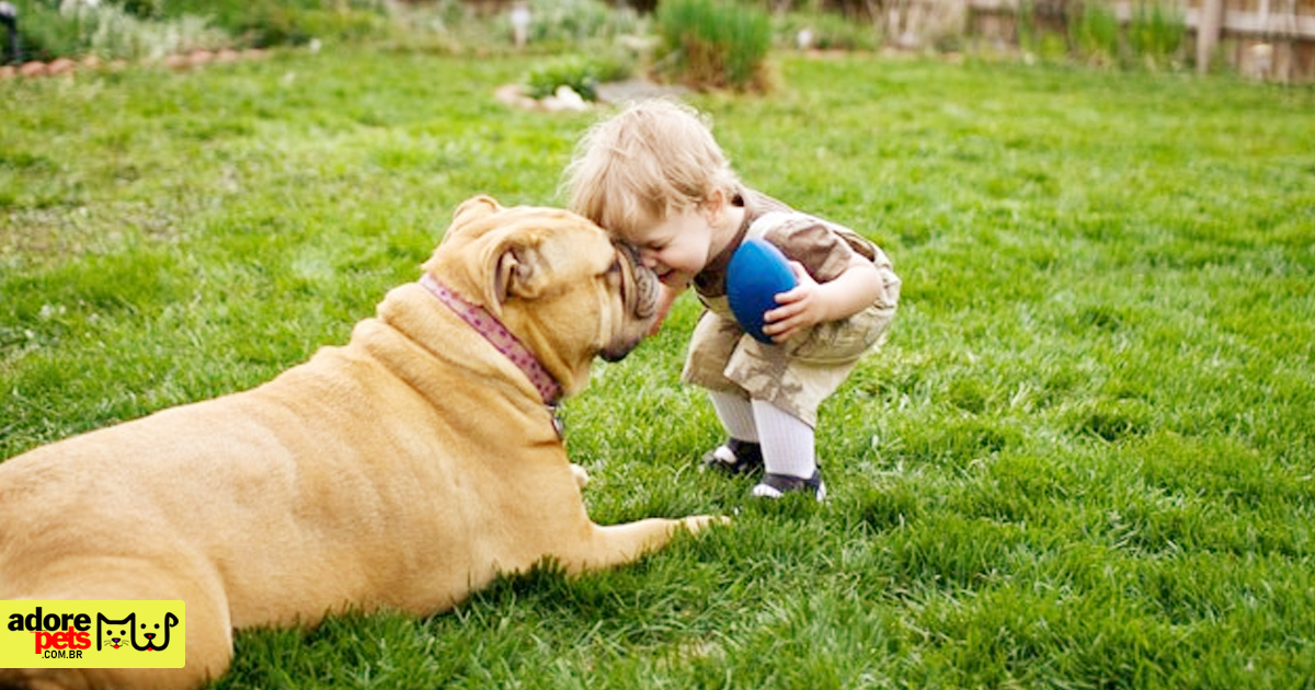 The importance of having a dog in children’s lives A importância de ter um cachorro na vida das crianças