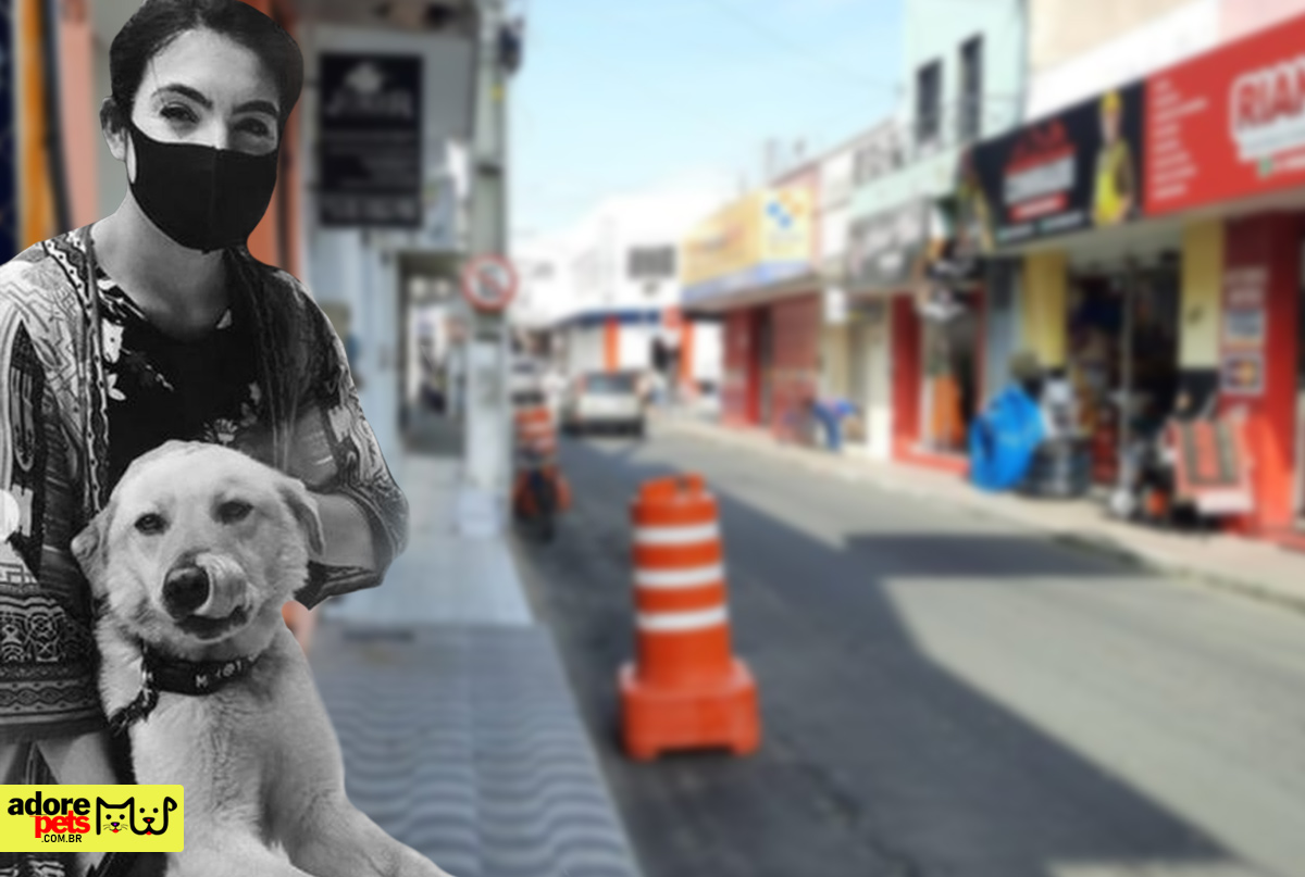 National Mutt Day is celebrated with an incentive for adoption