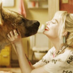 As in Harley Quinn, it would be possible to have a hyena as a pet Como em Arlequina, seria possível ter uma hiena como animal de estimação