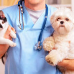 The fascinating story of the origin and evolution of veterinary medicine A fascinante história da origem e evolução da medicina Veterinária