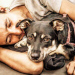 World Animal Day is celebrated on October 4th 4 de outubro: Dia Mundial dos Animais