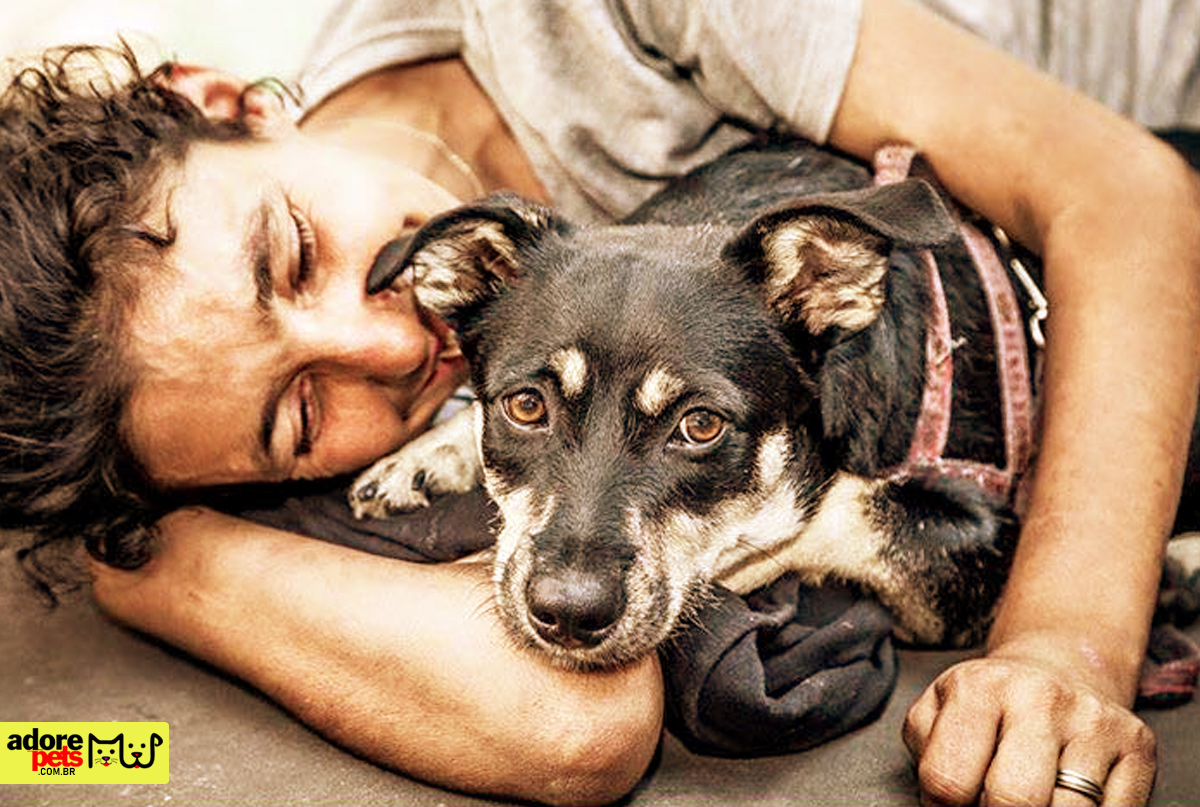 World Animal Day is celebrated on October 4th 4 de outubro: Dia Mundial dos Animais