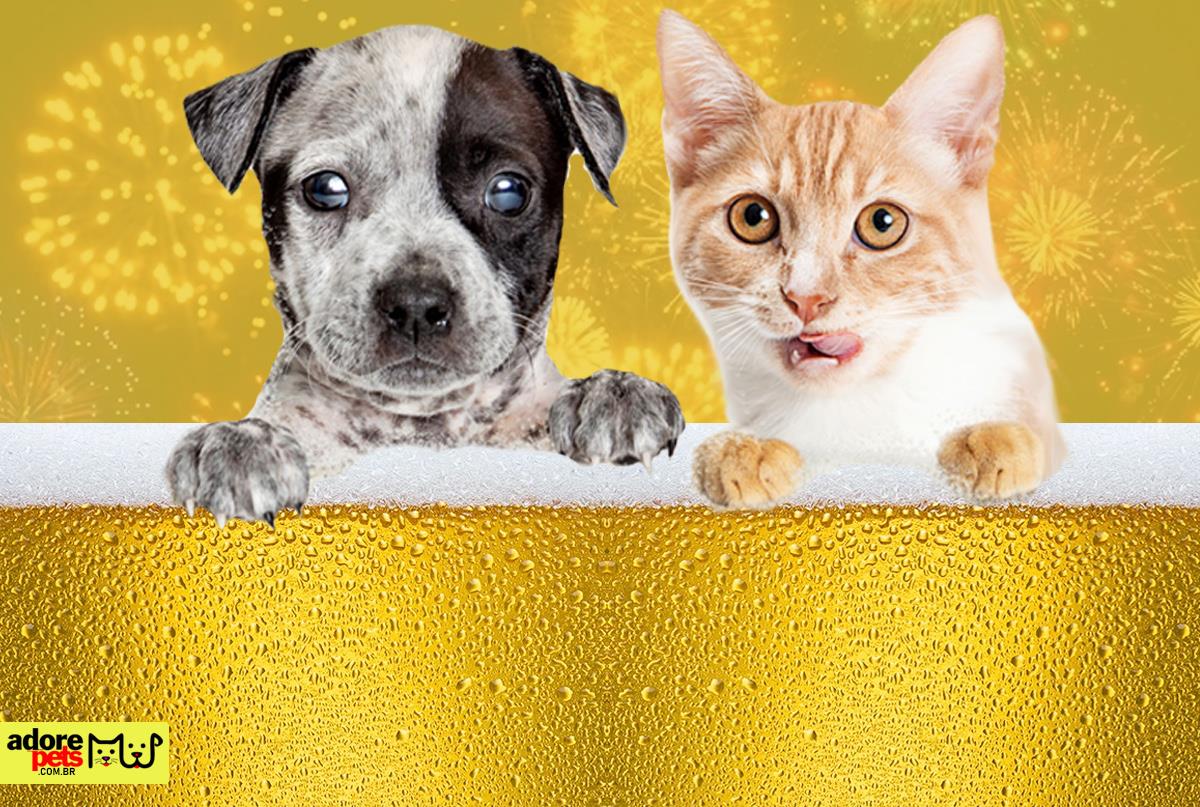 The dangers of alcoholic beverages for animals Os perigos das bebidas alcoólicas nos animais