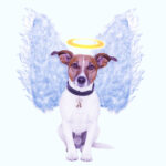 Journey of loss: Message for those who have lost a pet Mensagem para quem perdeu um animal de estimação