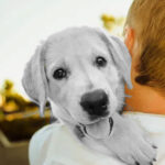 What does it mean when a pet dies O que significa quando morre um animal de estimação