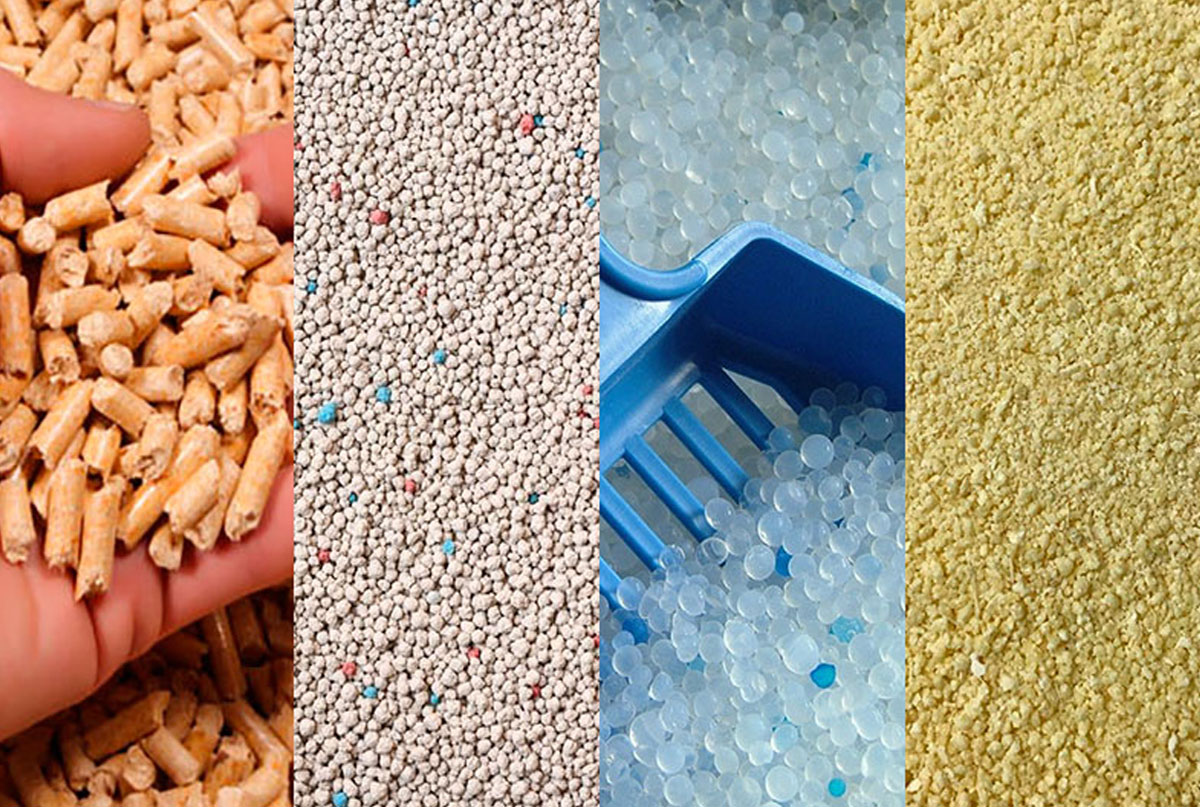 Types of Cat Litter: Choose the Best for Your Feline