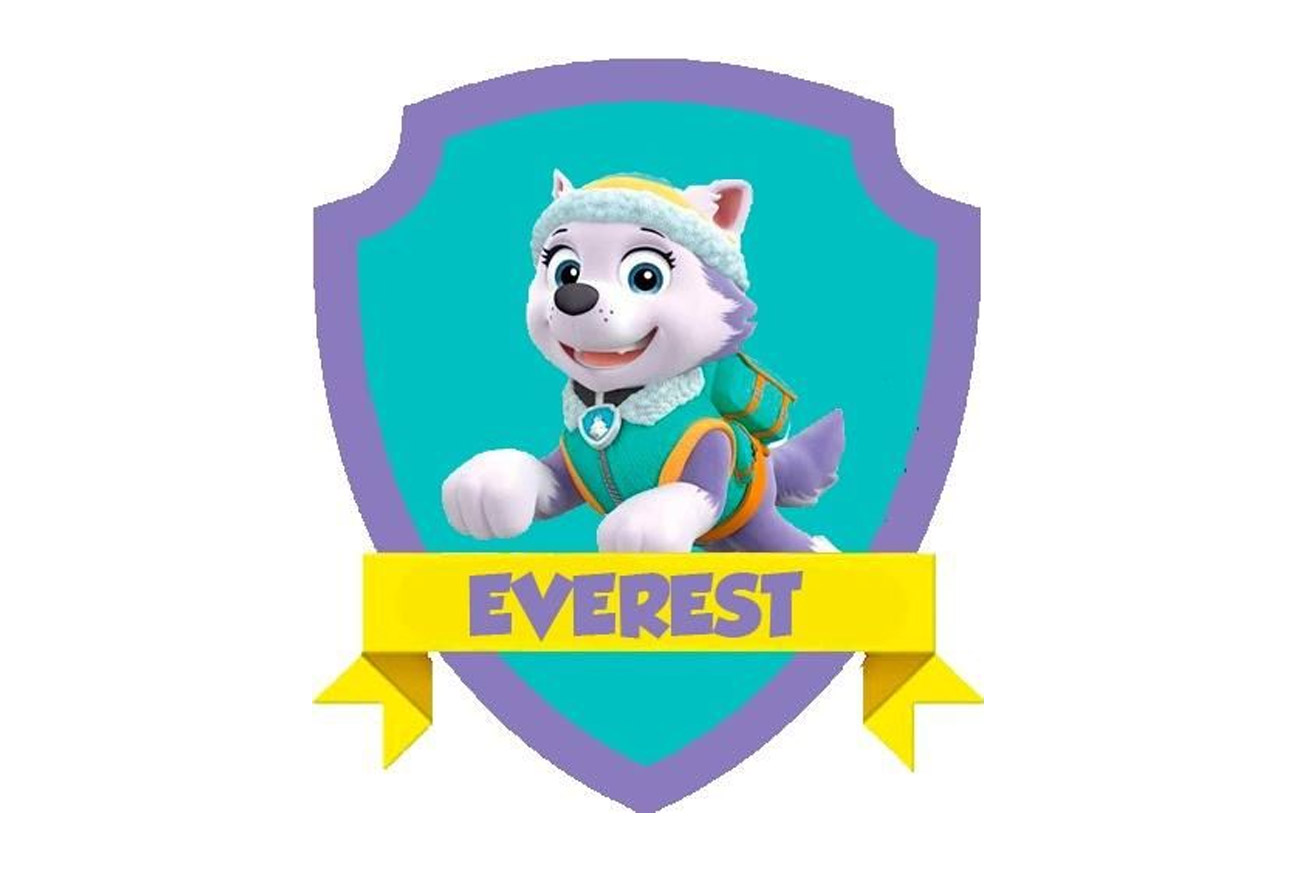 Kids: Discover the breeds of the Paw Patrol puppies