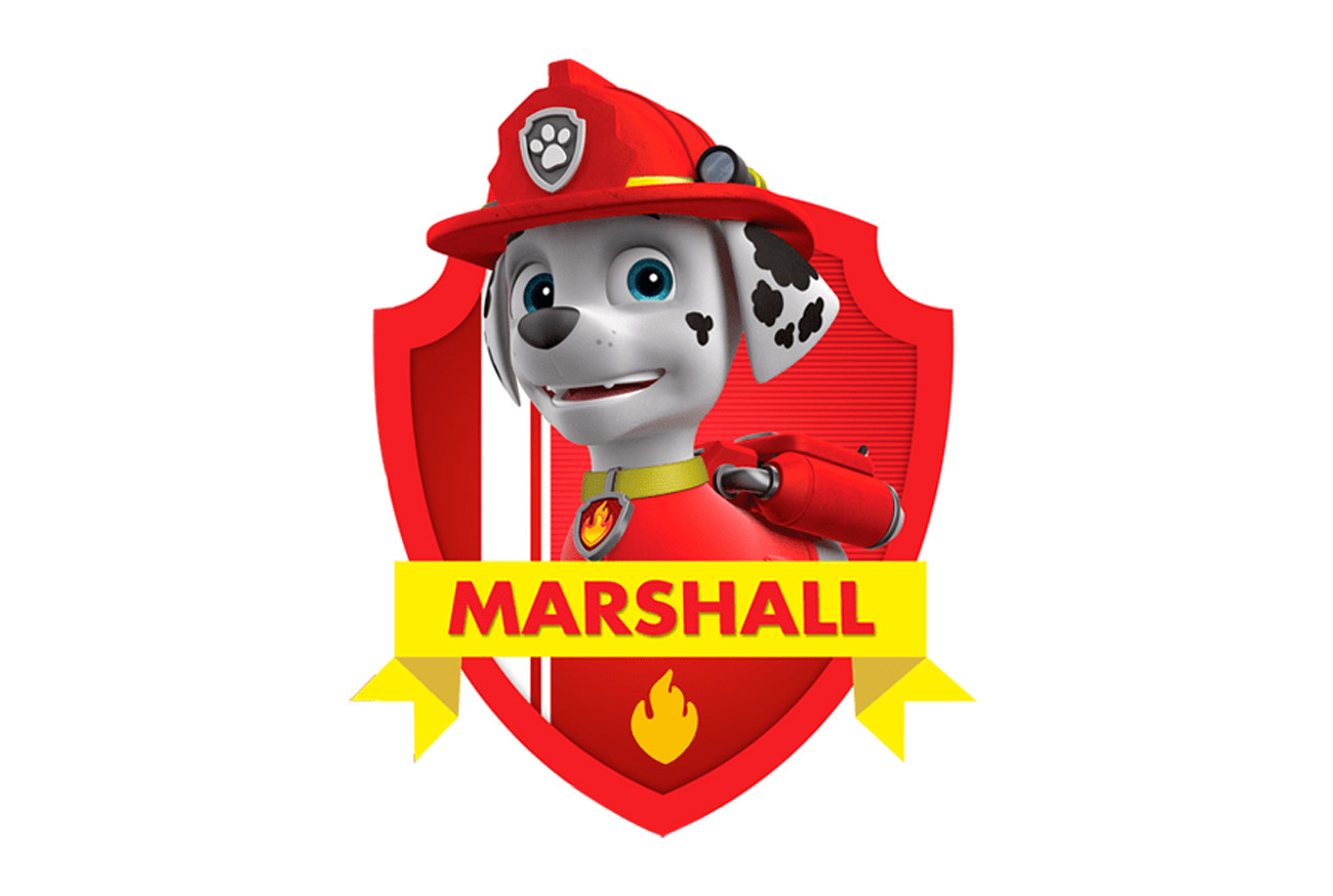 Kids: Discover the Breeds of the Paw Patrol Puppies