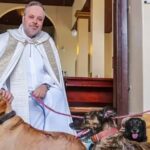 Father João Paulo turns Church into Shelter, encouraging Pet Adoption Padre João Paulo transforma igreja em abrigo e incentiva adoção animal