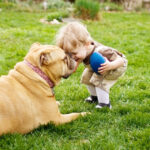 A importância de ter um cachorro na vida das crianças