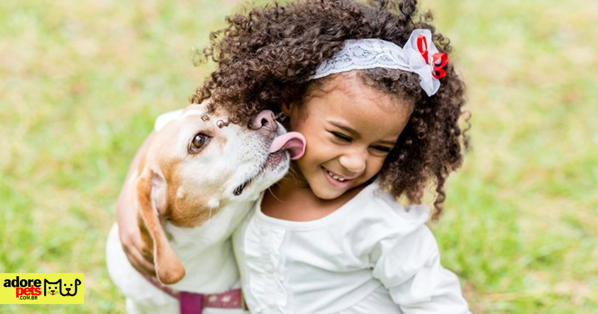 The Dog is the most common pet in Brazil, followed by Birds and Cats O cachorro é o animal de estimação em maior número no Brasil, seguido por Peixes, Gatos e Aves