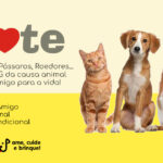 Adote um Pet e ganhe um amigo que vai encher sua vida de amor