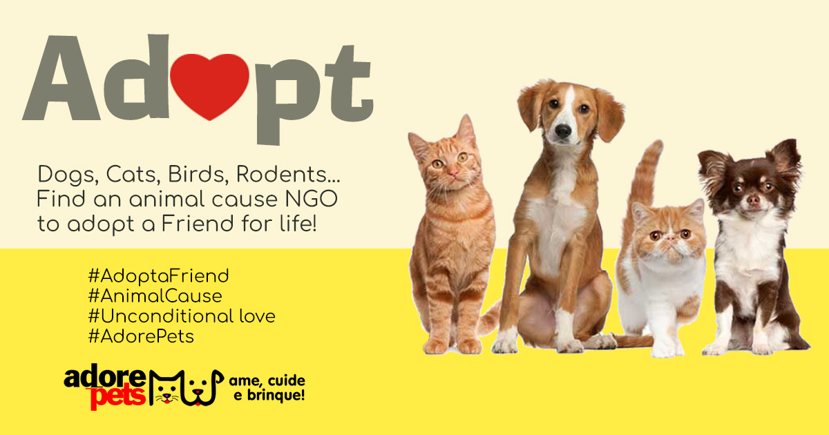 Adopt a Pet and gain a friend who will fill your life with love Adopt a Pet and gain a friend who will fill your life with love