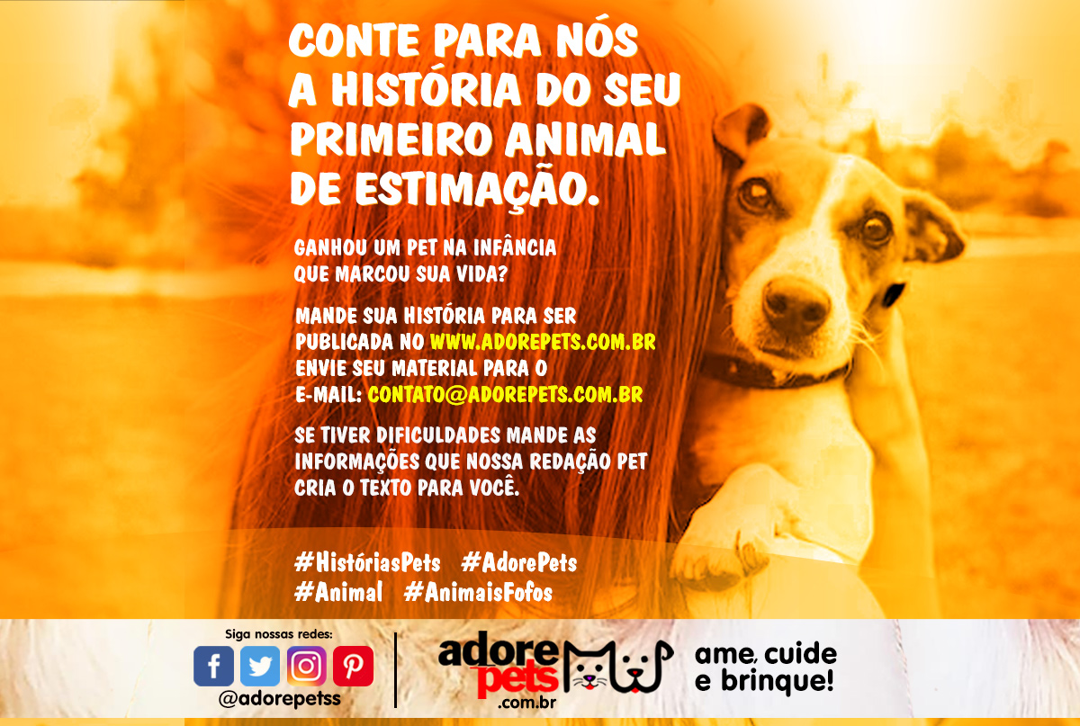 Participe da campanha “Histórias Pet” da Adore Pets Participe da campanha "Histórias Pet" da Adore Pets