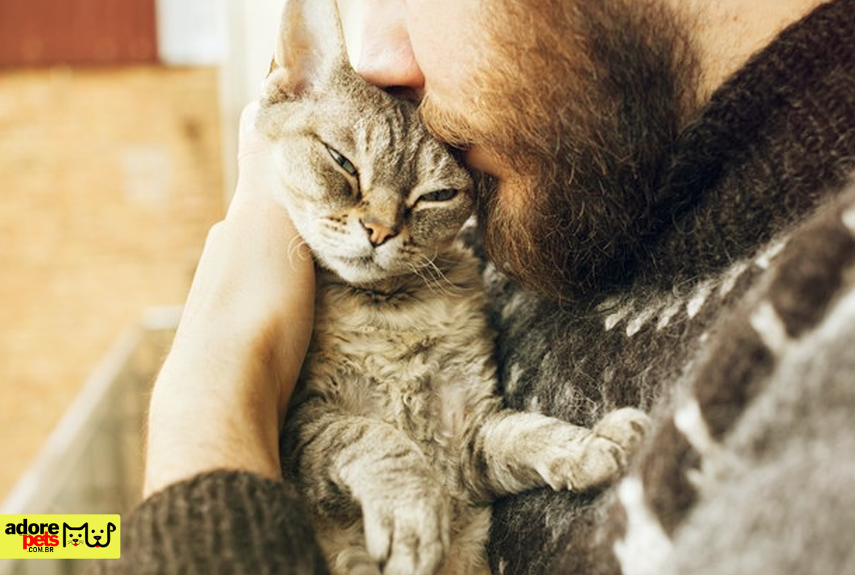 Saiba a importância de se ter um animal de estimação em casa Saiba a importância de se ter um animal de estimação em casa