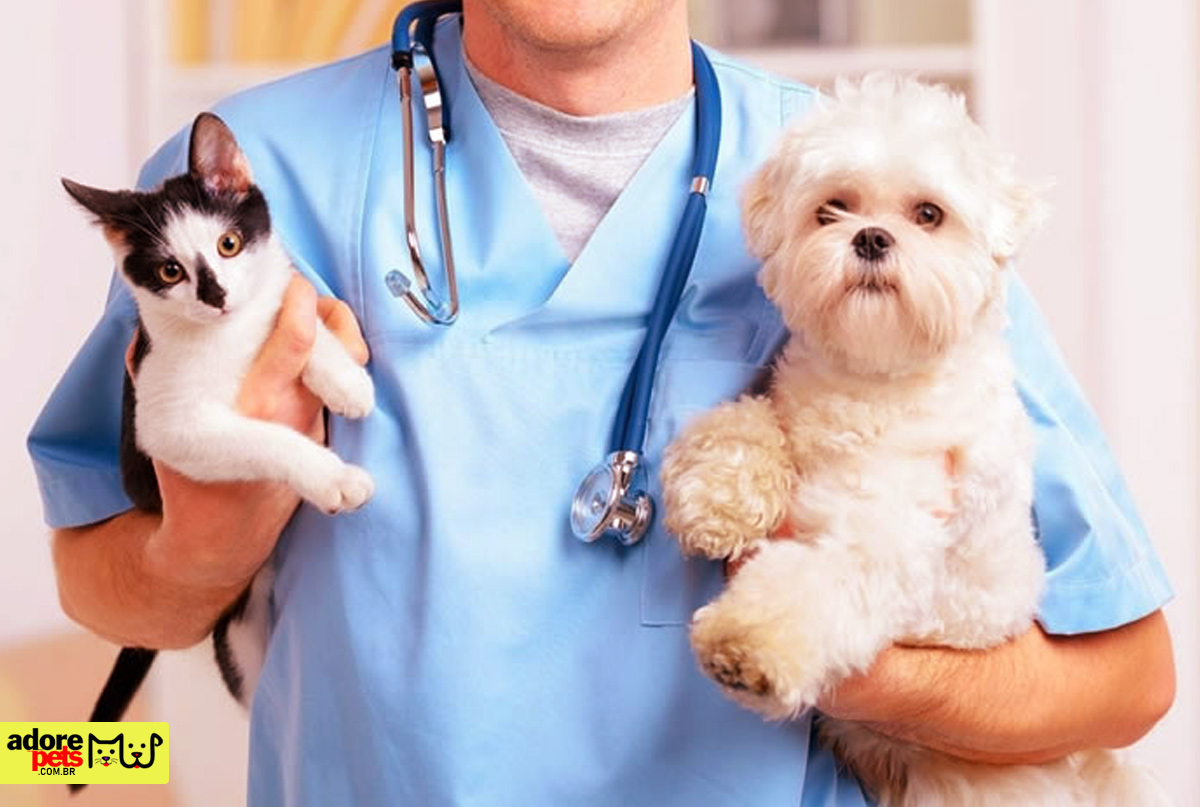 A fascinante história da origem e evolução da medicina Veterinária A fascinante história da origem e evolução da medicina Veterinária