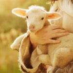 Os 10 animais da bíblia mais famosos e seus significados