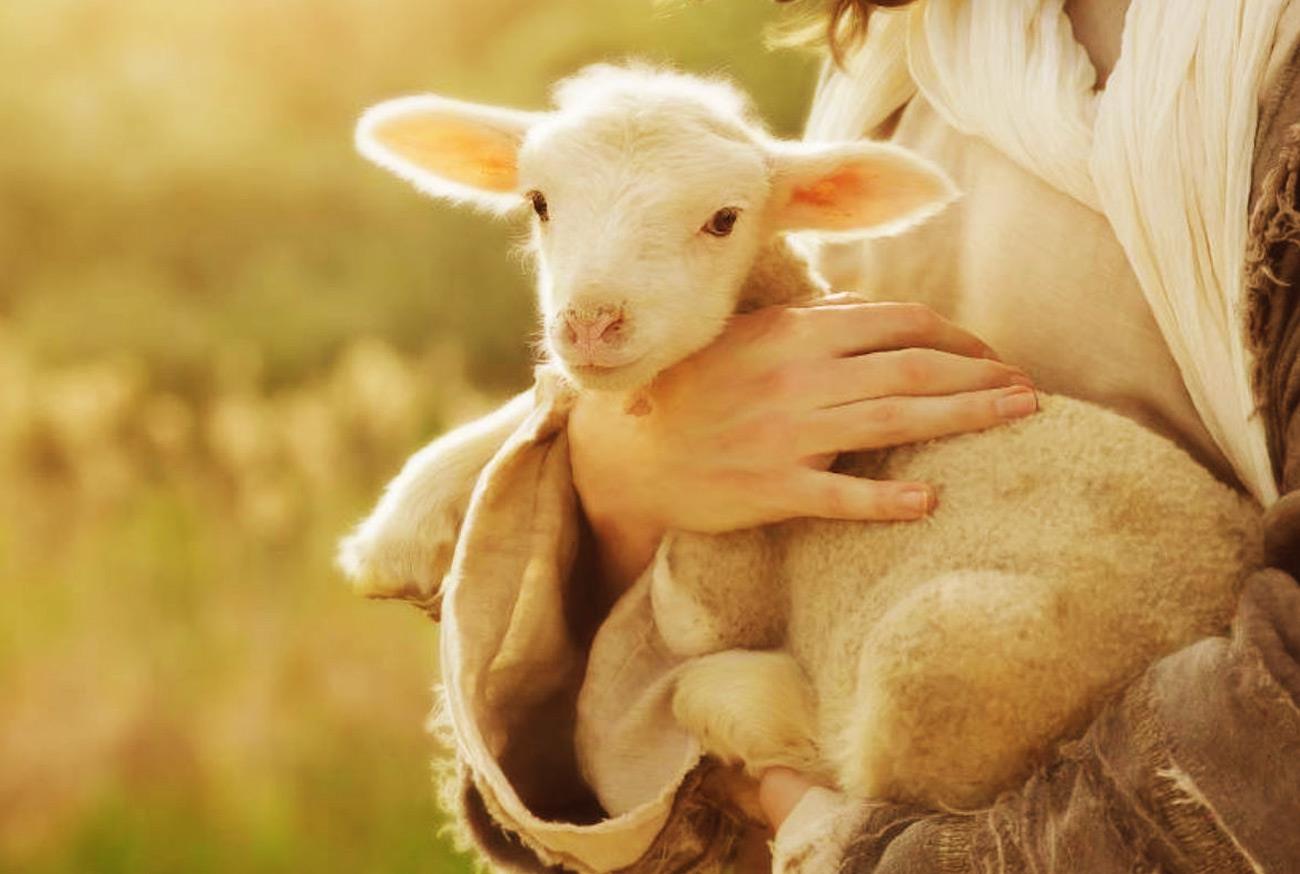 Os 10 animais da bíblia mais famosos e seus significados Os 10 animais da bíblia mais famosos e seus significados