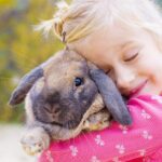 Versículos bíblicos sobre o Amor aos Animais: Mensagens de carinho Os melhores animais de estimação pequenos para cada tipo de residência