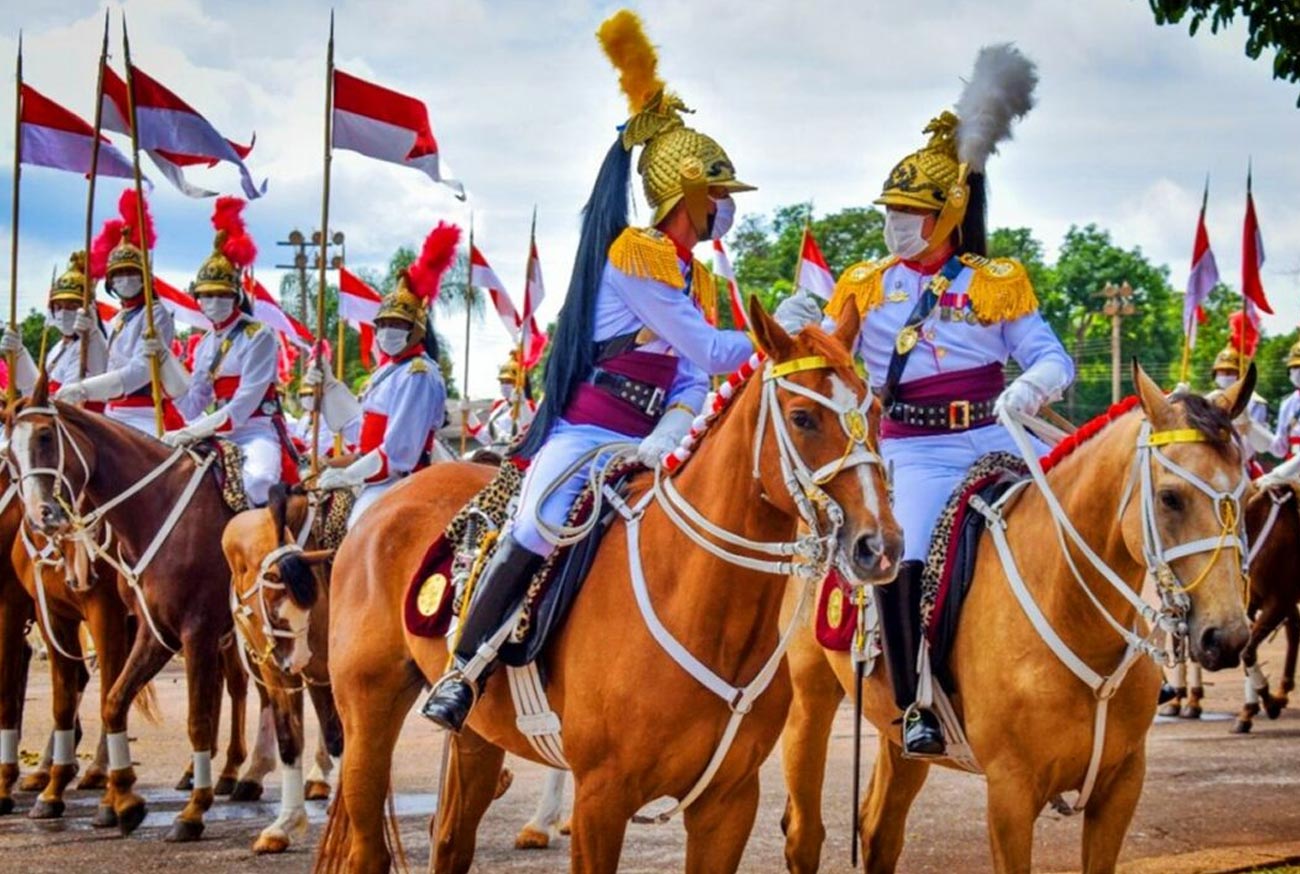 Cavalo Baio o herói involuntário da Proclamação da República no Brasil